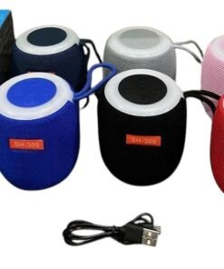 Parlante Con Luces RGB  SH-309
