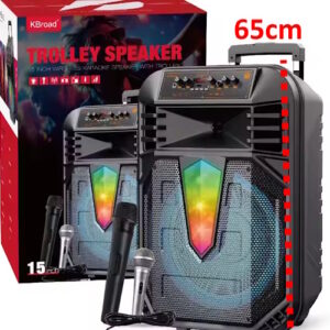 Parlante 15" 2071 con luz 1 microfono inalambrico + 1 con cable usb sd fm bluetooth