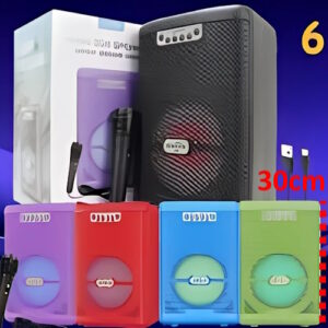 Parlante 6.5" 2078 con luz microfono usb sd fm bluetooth
