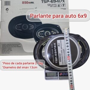 Parlantes De Auto 6x9 TSP-69418x