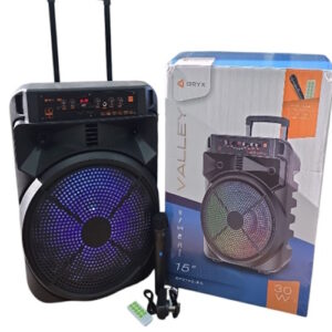 Parlante 15" con luz rgb microfono usb sd fm bluetooth ice 1426